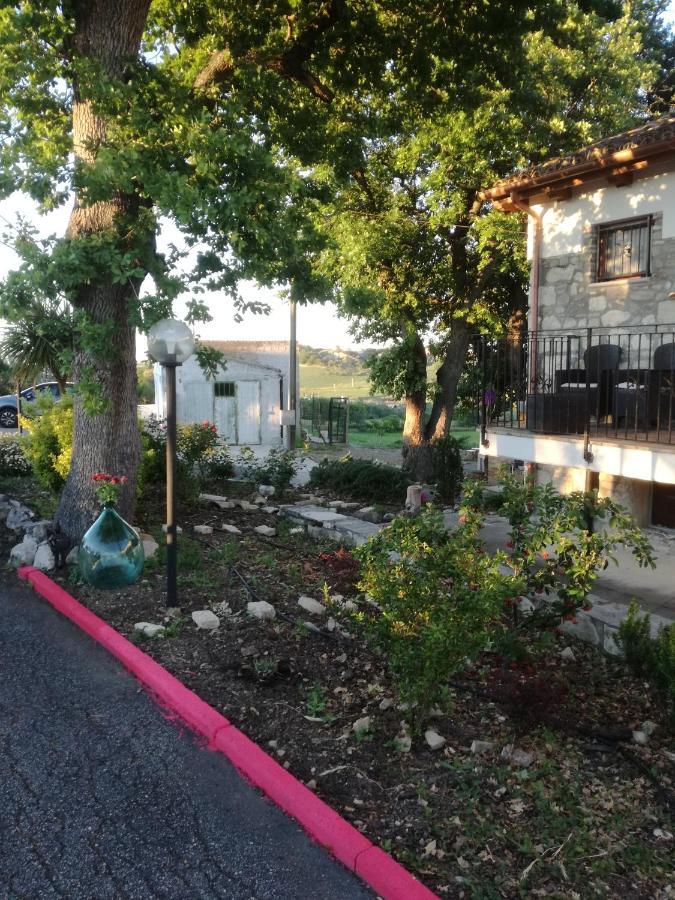 B&B Pozzo Innamorato Montenero di Bisaccia Eksteriør billede
