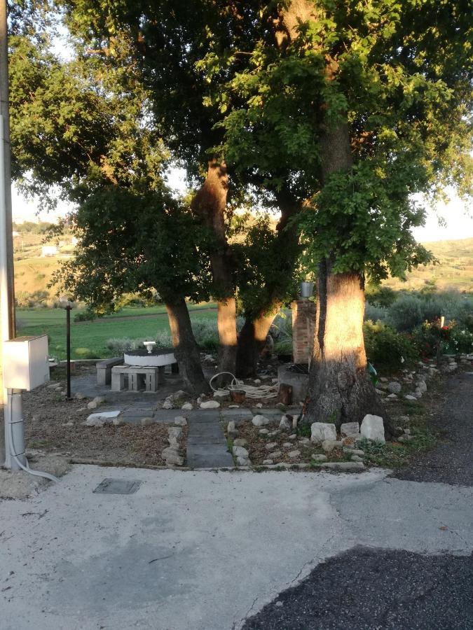 B&B Pozzo Innamorato Montenero di Bisaccia Eksteriør billede