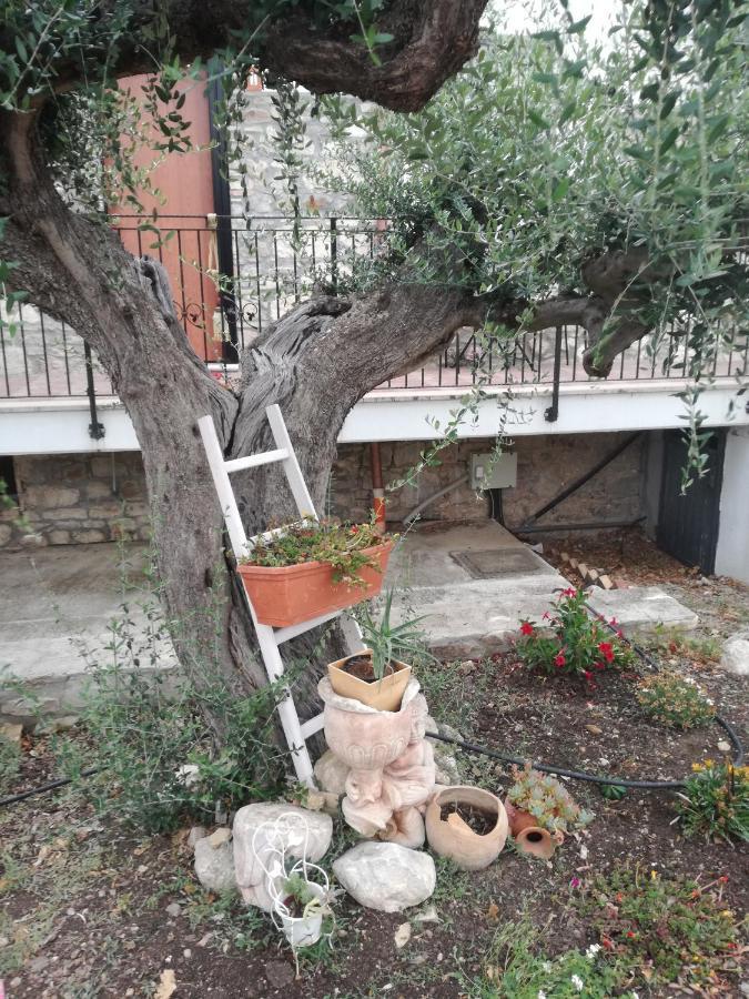 B&B Pozzo Innamorato Montenero di Bisaccia Eksteriør billede